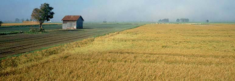 Weber Packaging Solutions makes high-quality sustainable labels.